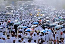 صورة الخدمات المقدمة لضيوف الرحمن تجاوزت حاجز 125 ألف خدمة متنوعة حتى الآن