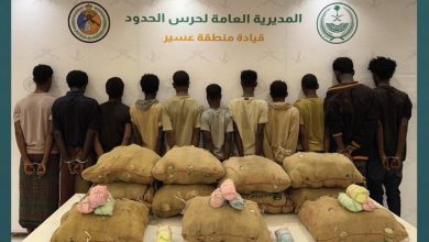 صورة القبض على 11 مخالفًا لنظام أمن الحدود لتهريبهم 220 كيلوجرامًا من القات بعسير