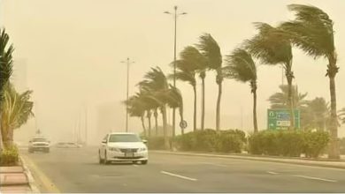صورة طقس الإثنين.. رياح سطحية مثيرة للأتربة والغبار على عدة مناطق