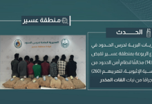 صورة القبض على 14 مخالفًا لتهريبهم 260 كيلوجرامًا من القات في عسير