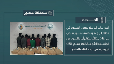 صورة القبض على 14 مخالفًا لتهريبهم 260 كيلوجرامًا من القات في عسير