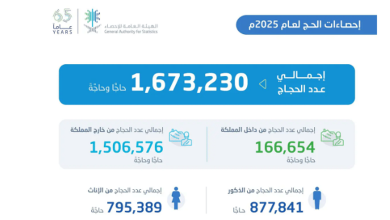 صورة عدد المشتغلين في موسم الحج بلغ 420,070 مشتغلًا لخدمة 1,673,230 حاجًّا وحاجَّةفريق