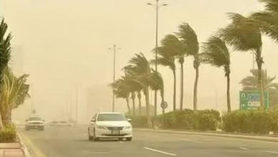 صورة رياح شديدة على منطقتي حائل وتبوك