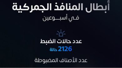 صورة من بينها أسلحة ومواد مخدرة.. «المنافذ الجمركية» تسجل 2126 حالة ضبط خلال أسبوعين