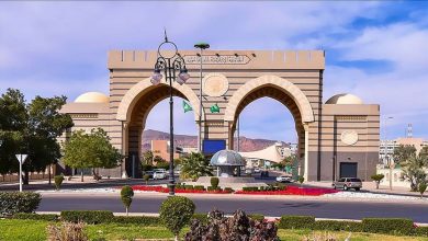 صورة لتحفيز الابتكار في الأبحاث العلمية.. الجامعة الإسلامية تُطلق مبادرة «التعاون الدولي»