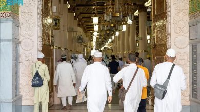 صورة انسيابية في حركة الزوار من باب السلام بالمسجد النبوي تبرز تكامل التنظيم والجهود الميدانية
