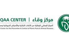 صورة المملكة لا تواجه أي تهديد من الجراد الصحراوي
