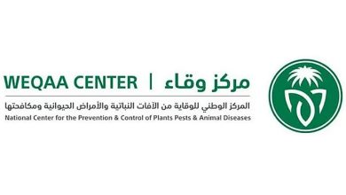 صورة المملكة لا تواجه أي تهديد من الجراد الصحراوي