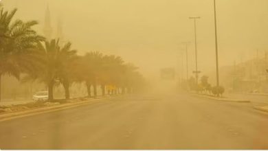 صورة طقس المملكة الأربعاء.. رياح نشطة مثيرة للأتربة وفرصة مهيأة لتكوّن سحب رعدية على عدة مناطق