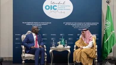 صورة وزير الخارجية يبحث مع نظيره الموريتاني المستجدات الإقليمية والدولية