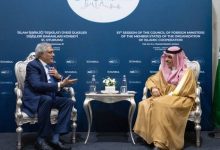 صورة وزير الخارجية يبحث مع نظيره الباكستاني آخر المستجدات الإقليمية والدولية