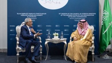 صورة وزير الخارجية يبحث مع نظيره الباكستاني آخر المستجدات الإقليمية والدولية