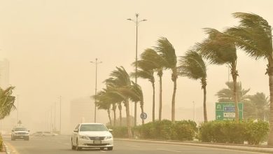 صورة رياح شديدة على منطقة حائل ومحافظة شرورة