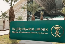 صورة غدا.. بدء تطبيق ضوابط بيع المواشي الحية بالوزن باستخدام موازين معتمدة