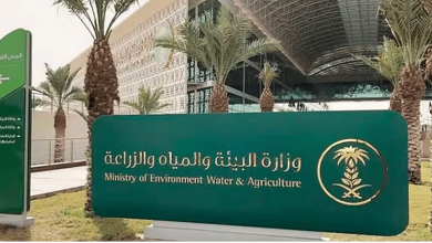 صورة غدا.. بدء تطبيق ضوابط بيع المواشي الحية بالوزن باستخدام موازين معتمدة