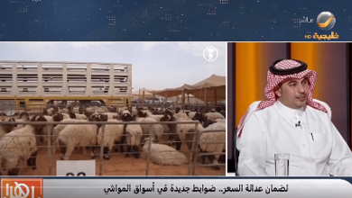 صورة الشراء عبر التطبيقات يشترط فيه تحديد الوزن للمواشي الحية