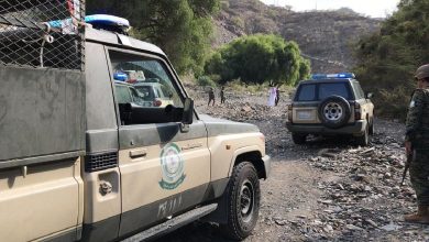 صورة القبض على شخص لترويجه 260 كيلوجرامًا من الحشيش بمنطقة جازان 