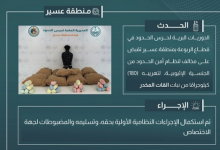 صورة القبض على مخالف لتهريبه 180 كيلوجرامًا من القات في عسير