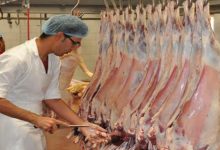 صورة بيئة حفر الباطن تُكثف الجولات الرقابة على المسالخ استعدادًا لعيد الأضحى