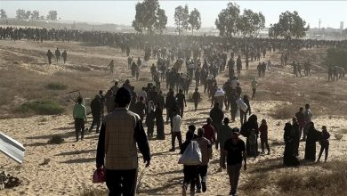 صورة الكلمات لا تحمي الأبرياء.. دعوة دولية لوقف الإبادة ومحاسبة المجرمين