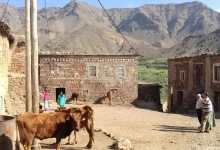 صورة تراجع السكان النشيطين في القرى لأن أزيد من 45 في المائة منهم  لا يتوفرون على شهادات