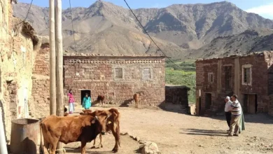صورة تراجع السكان النشيطين في القرى لأن أزيد من 45 في المائة منهم  لا يتوفرون على شهادات