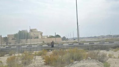 صورة حافلات الشامخة