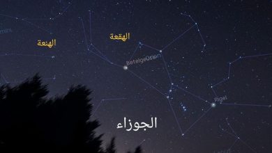 صورة بدء “جمرة القيظ” .. أشد المواسم حرارة وجفافاً