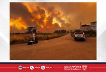 صورة حريق غابات يندلع في منطقة سيليفري بإسطنبول