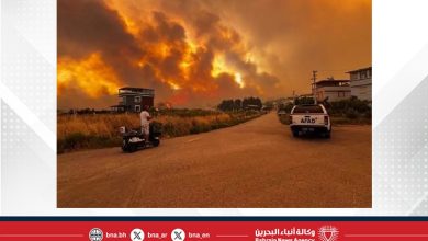 صورة حريق غابات يندلع في منطقة سيليفري بإسطنبول
