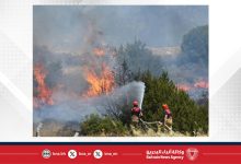صورة ارتفاع حصيلة ضحايا حرائق إزمير .. مقتل شخصين وتدمير ثلاث قرى بالكامل