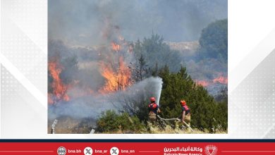 صورة ارتفاع حصيلة ضحايا حرائق إزمير .. مقتل شخصين وتدمير ثلاث قرى بالكامل
