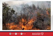 صورة حرائق الغابات تجتاح الساحل السوري وتتسبب في إخلاء قرى سكنية