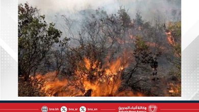 صورة حرائق الغابات تجتاح الساحل السوري وتتسبب في إخلاء قرى سكنية