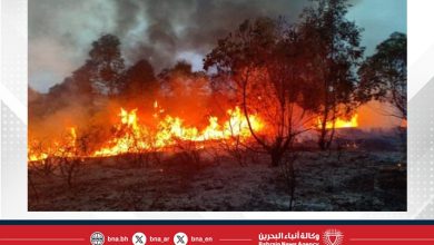 صورة حرائق غابات تهدد المناطق السكنية والصناعية في إزمير التركية