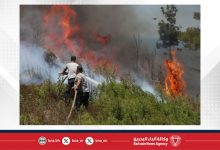 صورة الرياح والتضاريس تعرقل جهود إخماد حرائق اللاذقية الخطيرة