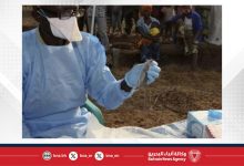 صورة 145 وفاة بسبب حمى لاسا منذ مطلع العام الجاري