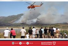 صورة 761 حريقًا خلال 10 أيام.. والسلطات تعلن السيطرة الشاملة