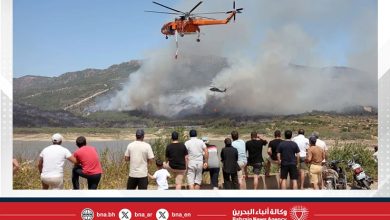 صورة 761 حريقًا خلال 10 أيام.. والسلطات تعلن السيطرة الشاملة
