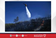 صورة إصابة 3 وإجلاء 2000 إثر حريق غابات في ألبانيا