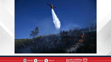 صورة إصابة 3 وإجلاء 2000 إثر حريق غابات في ألبانيا