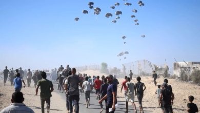 صورة شكراً محمد بن زايد شكراً للإمارات