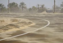 صورة “الوطني للأرصاد” يحذر من نشاط الرياح المثيرة للغبار