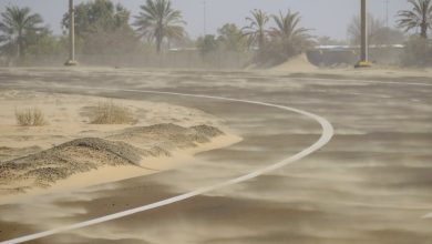 صورة “الوطني للأرصاد” يحذر من نشاط الرياح المثيرة للغبار