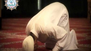 صورة هل الأفضل صلاة الوتر في أول الليل أم أداؤها آخر الليل؟.. الإفتاء توضح