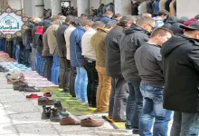 صورة ما حكم قراءة المأموم آية فيها سجدة في الصلاة السرية؟.. الإفتاء توضح