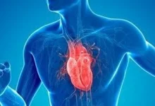 صورة احذرها.. 6 عادات يومية تُضعف عضلة قلبك دون أن تعلم