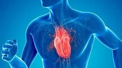 صورة احذرها.. 6 عادات يومية تُضعف عضلة قلبك دون أن تعلم