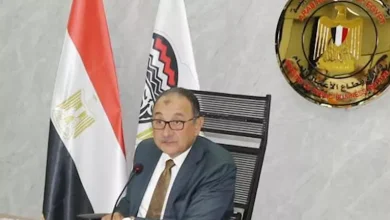 صورة القابضة الكيماوية: تستهدف إيرادات بـ22.4 مليار جنيه خلال الع
