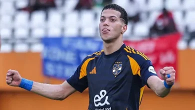 صورة 5 صور لإمام عاشور في حفل محمد رمضان في الساحل